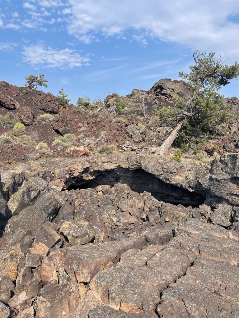 Rocky terrain with layered volcanic rock formations, sparse vegetation, and a tree leaning over the edge under a blue sky.
