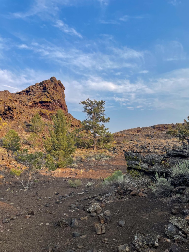 Rocky landscape with a prominent rock formation, scattered shrubs, and trees under a clear blue sky.