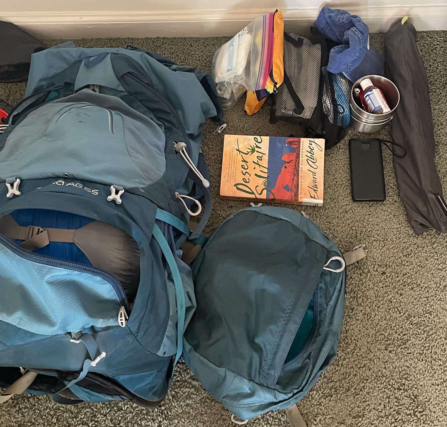 A backpack opened with various items spread around, including a book titled 'Desert Solitaire', zip-lock bags, a phone, a small metal container, and a long umbrella.