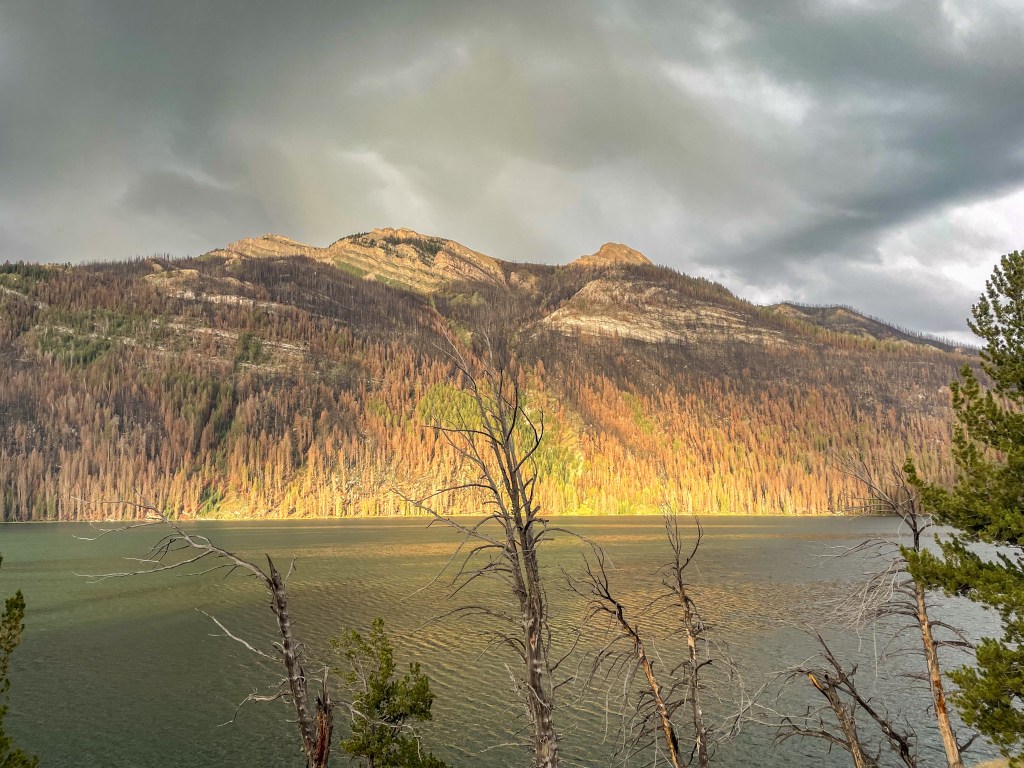 A landscape featuring a lake in the foreground and charred mountains in the background under a cloudy sky. The mountains display varying shades of brown and green, indicating areas affected by wildfires.