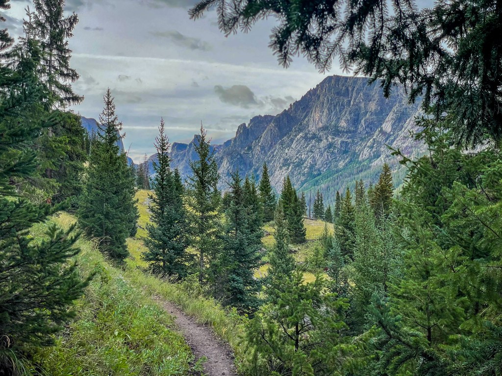 A scenic view of a forested trail leading towards mountains in the background, framed by evergreen trees under a cloudy sky.