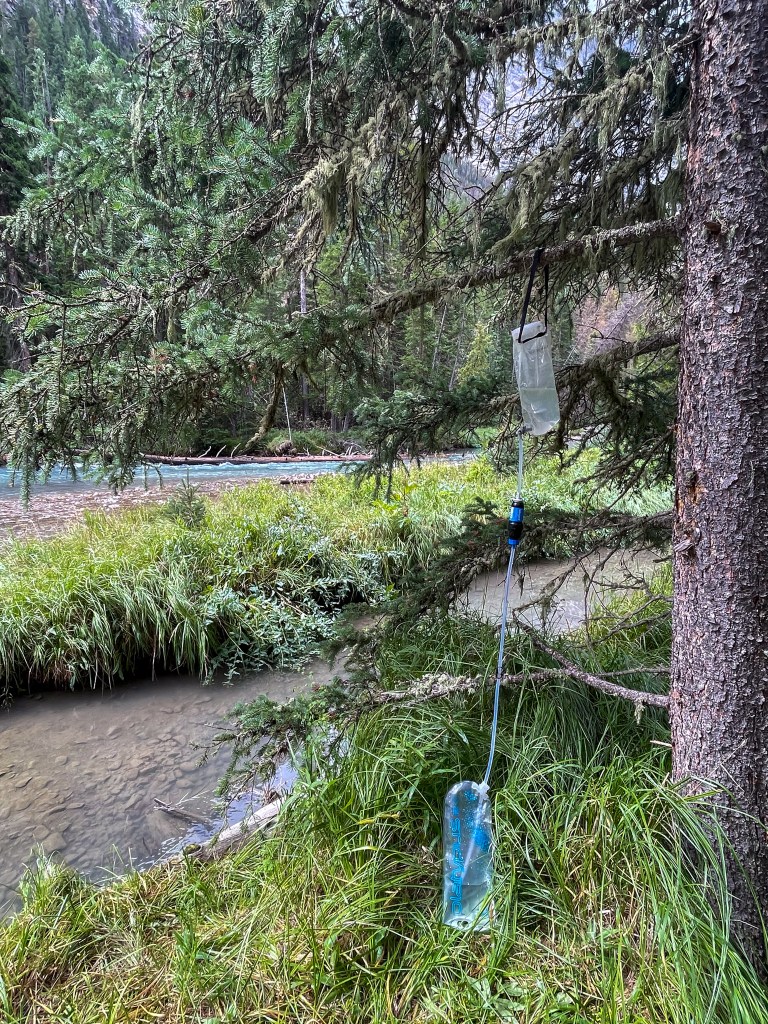A water filtration setup hanging from a tree, featuring two water bags connected by a tube, with a stream and lush greenery in the background.