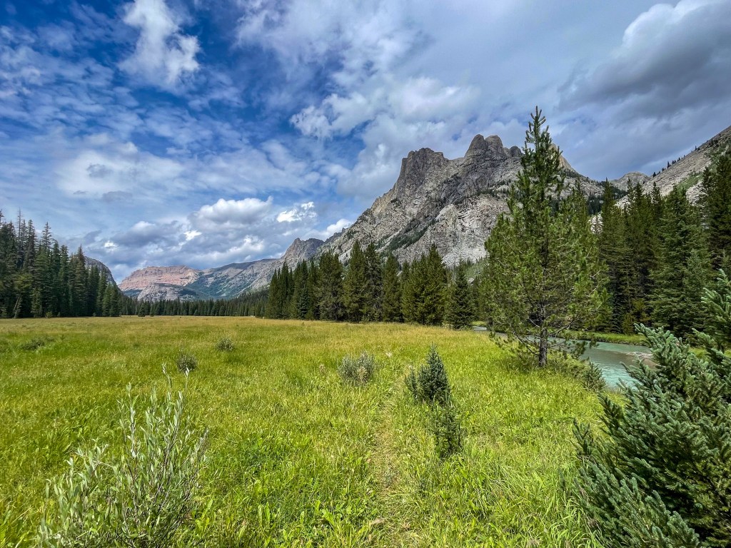 A scenic view of a grassy meadow surrounded by mountains and trees under a partly cloudy sky.