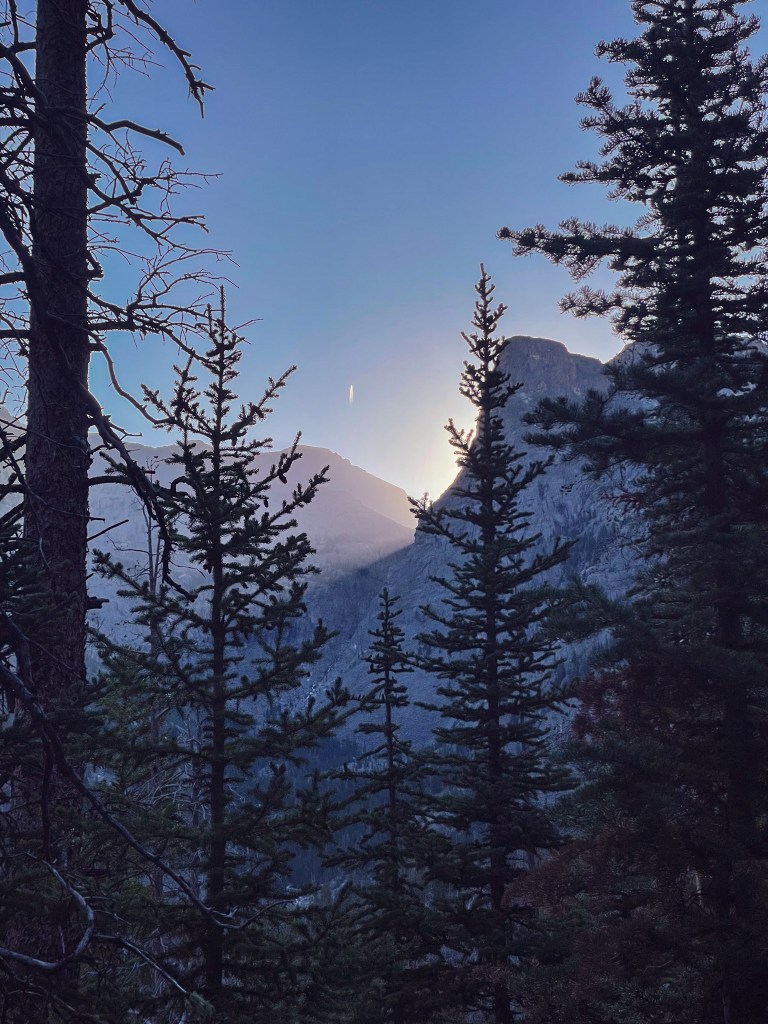 View of mountain peaks partially obscured by evergreen trees during twilight, with a faint light source in the background.