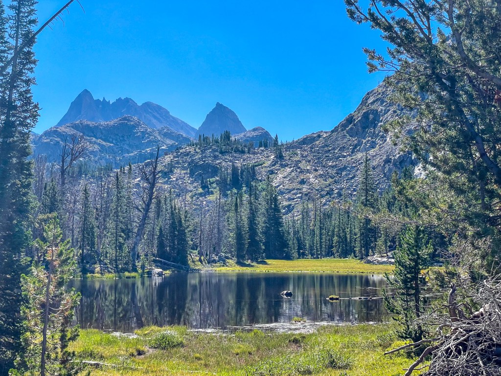 Scenic view of a tranquil lake surrounded by dense evergreen trees and rugged mountains under a clear blue sky.