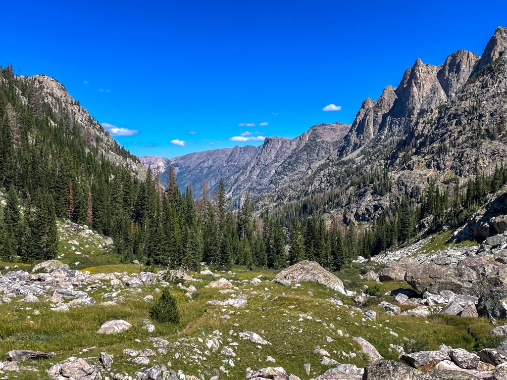 A panoramic view of a mountainous landscape featuring tall green trees, rocky terrain, and a clear blue sky.